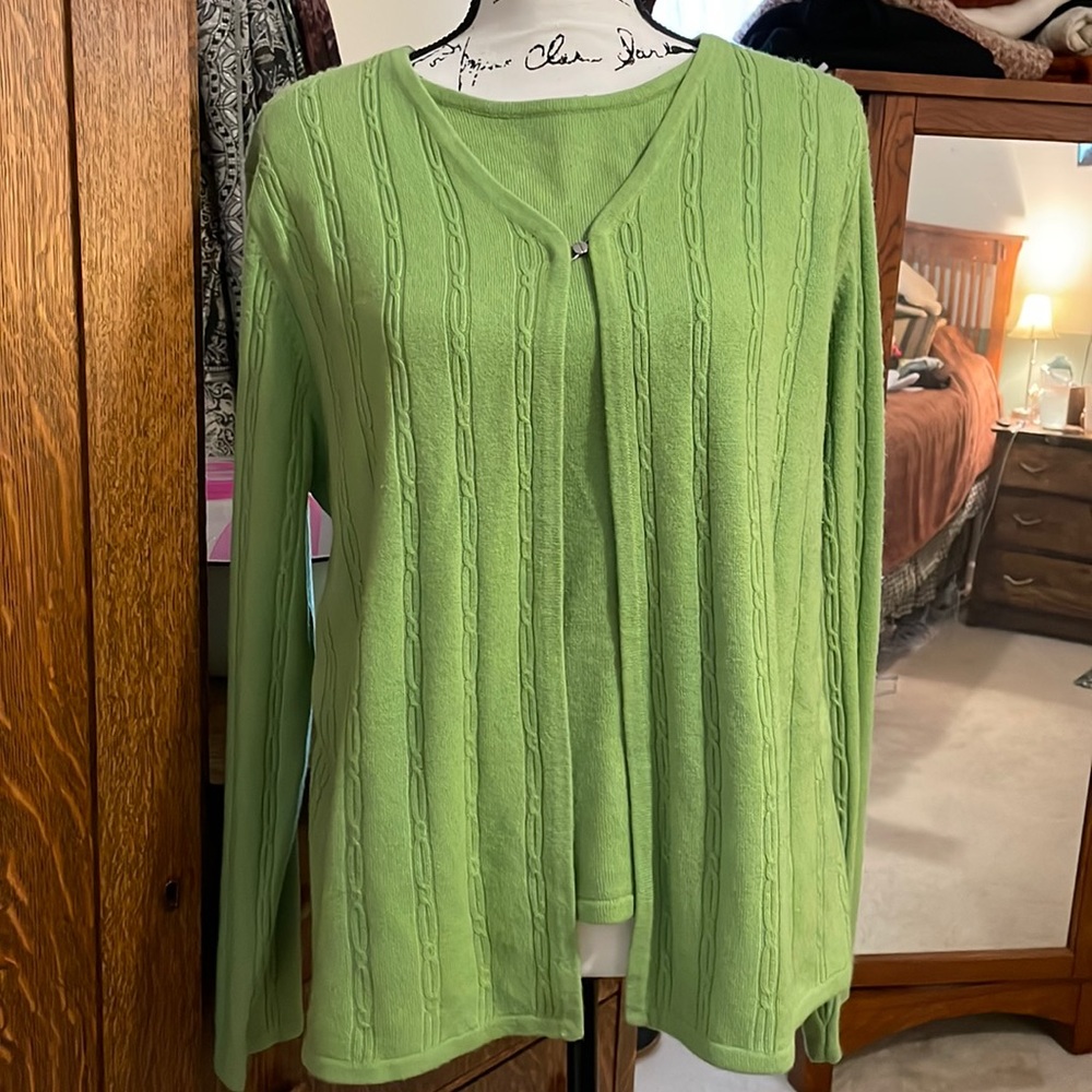 Sag Harbor Green Sweater xl